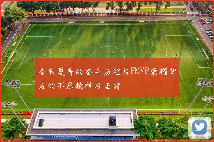 香农夏普的奋斗历程与FMVP荣耀背后的不屈精神与坚持